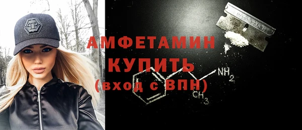 индика Беломорск