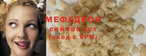 индика Беломорск