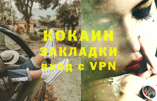 индика Беломорск