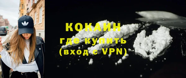 индика Беломорск