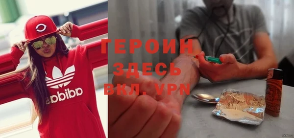 индика Беломорск