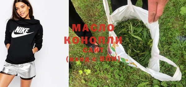 индика Беломорск