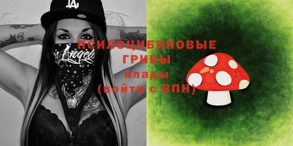 индика Беломорск