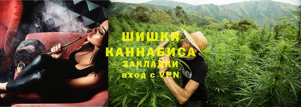 индика Беломорск