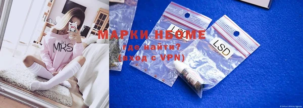 индика Беломорск