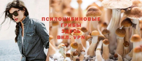 индика Беломорск