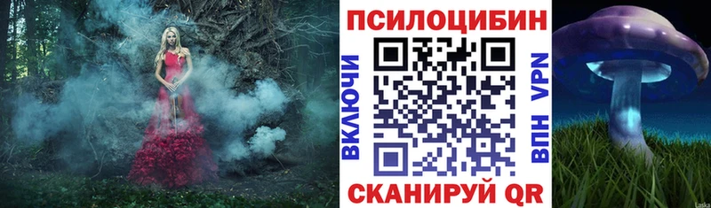 Галлюциногенные грибы ЛСД магазин продажи гидра tor Ядрин